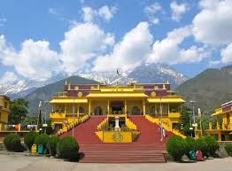 Namgyal Monastery courtyard in McLeodganj