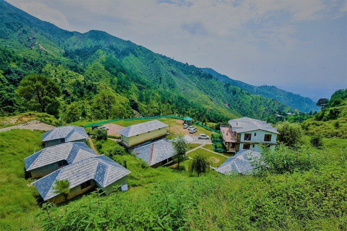 Camping at Triund McLeodganj
