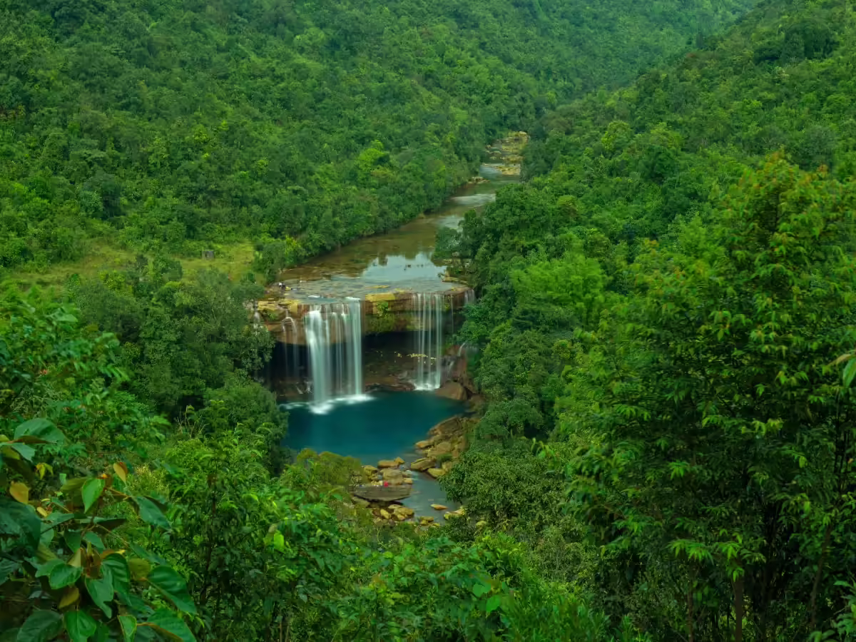 Living root bridge in Cherrapunji Meghalaya