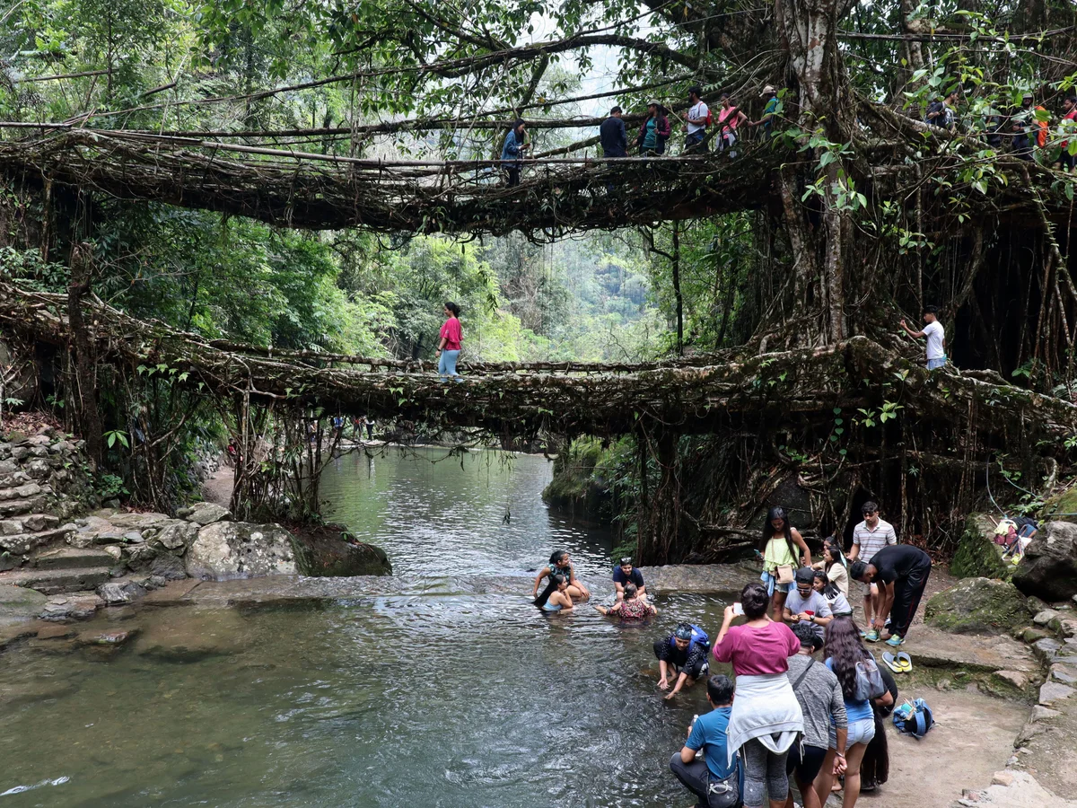 Double-decker living root bridge Meghalaya