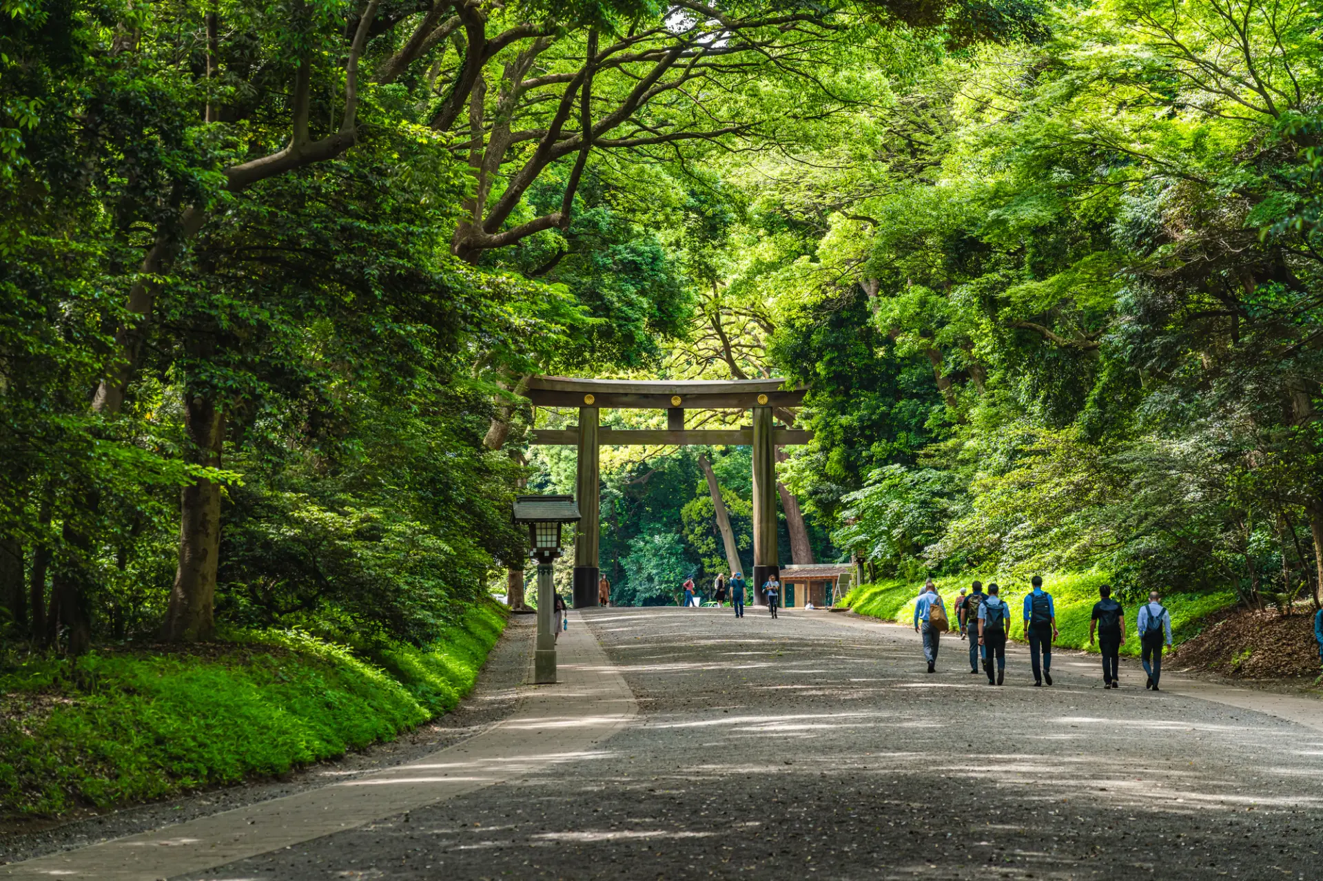 Forest walkway inside Meiji Jingu grounds
