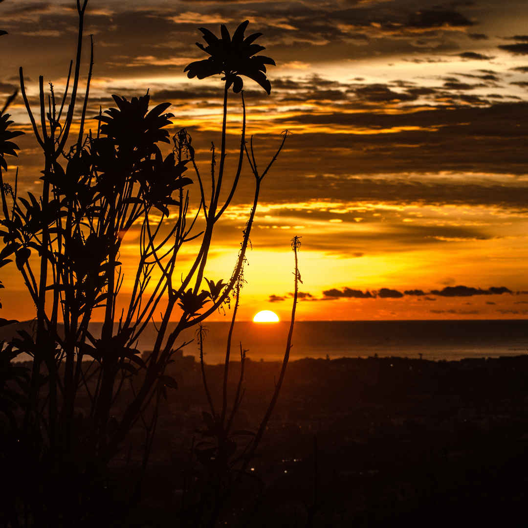 Beautiful sunset view over the ocean with orange and pink sky