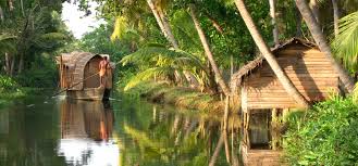 Best season strategy for Munnar honeymoon including winter and monsoon planning