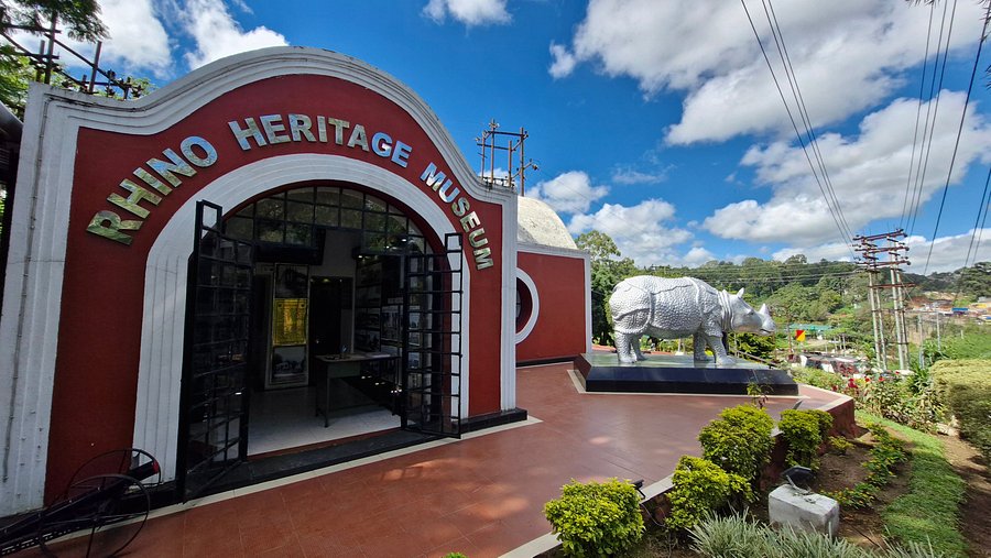 Rhino Museum Shillong - Rhino conservation artifacts and displays