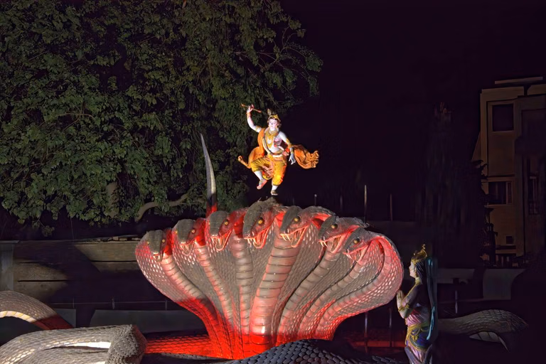 Religious significance and rituals at Naag Mandir Patnitop