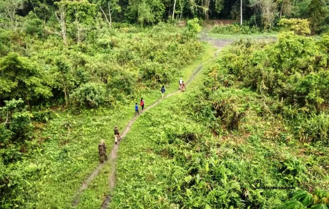 Dense forest trail in Nameri