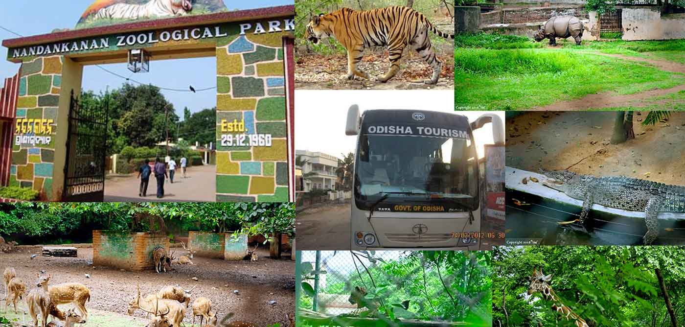 Nandankanan Botanical Garden - Lush greenery and serene pathways