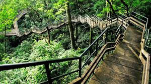 Responsible eco-tourism in Kerala national parks