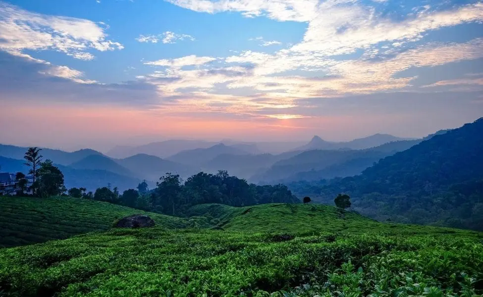 Seasonal changes in Kerala national parks