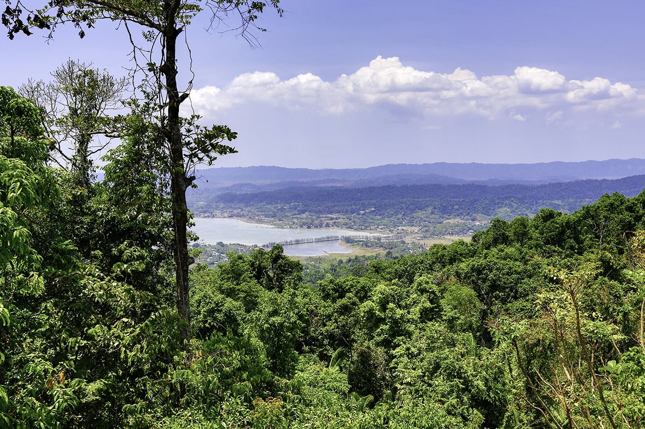 View from Mount Harriet peak looking over Andaman rainforests and ocean