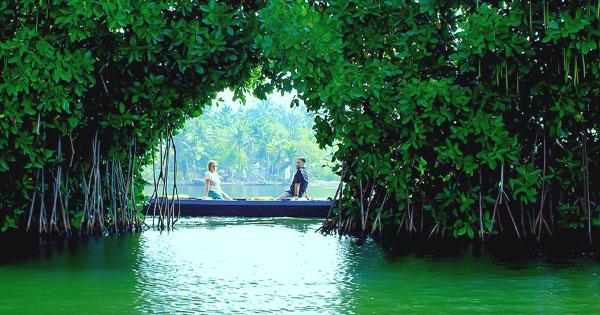 Narrow boat cruise through Munroe Island canals