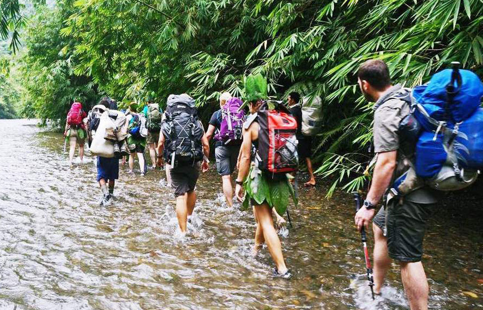Trekking trail in Rishikesh forest