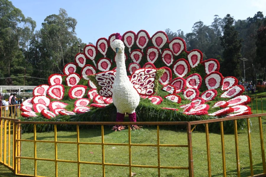 Main floral installation at Ooty Summer Festival
