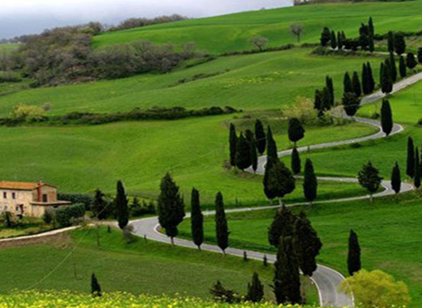 Ooty in different seasons