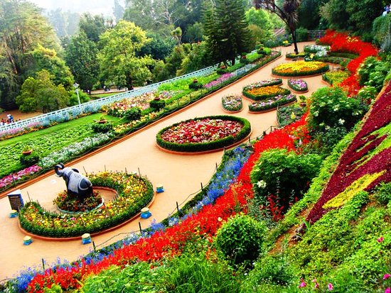 Government Botanical Garden Ooty