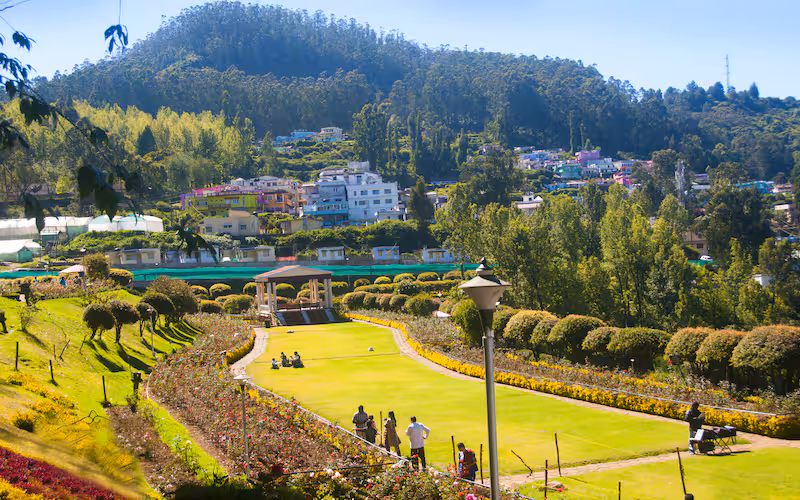 Misty morning in Ooty Nilgiris