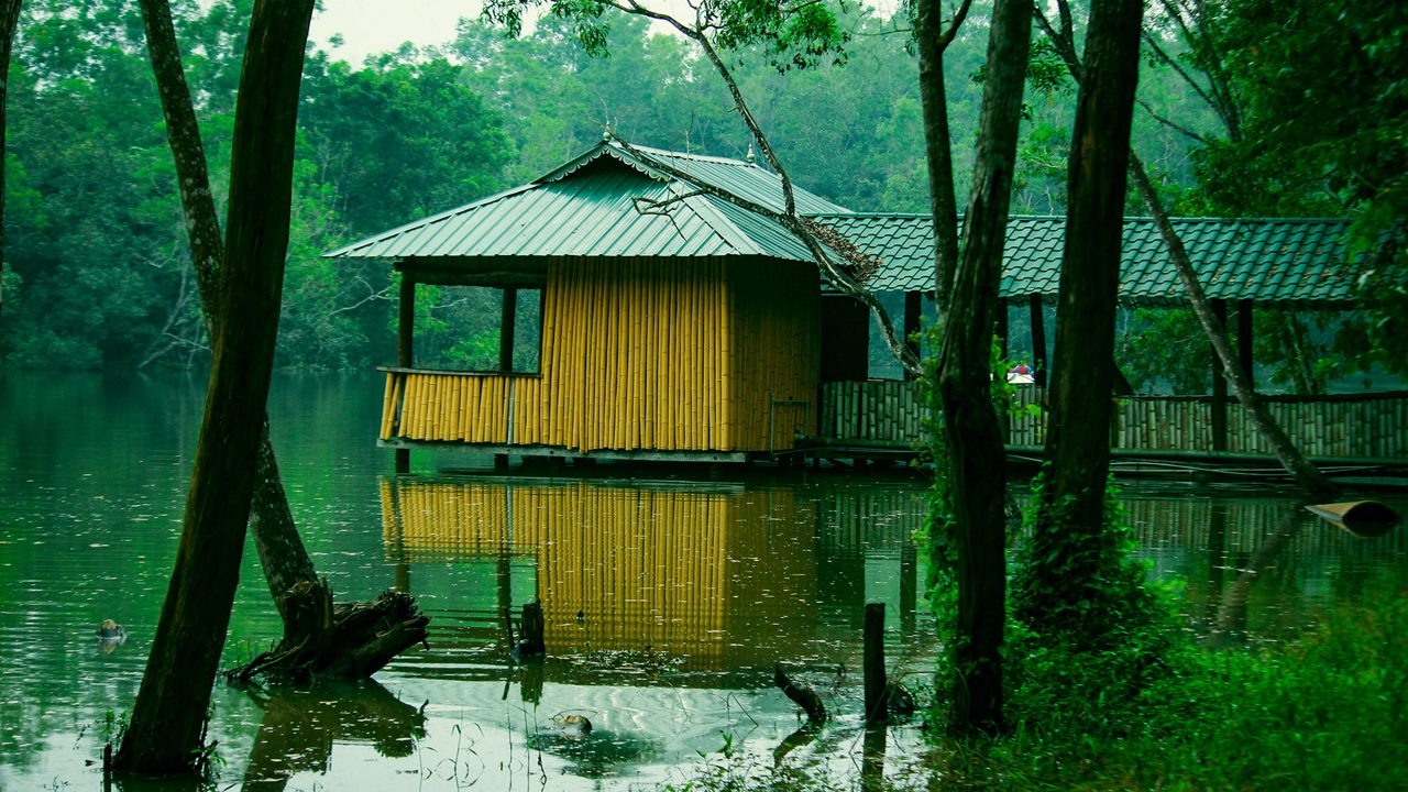 Parambikulam Tiger Reserve forest landscape