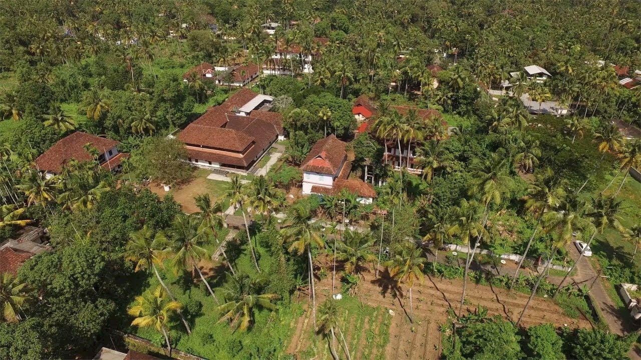 Aerial view Kerala parasailing