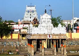 Common first time visitor mistakes at Parthasarathy Temple Chennai