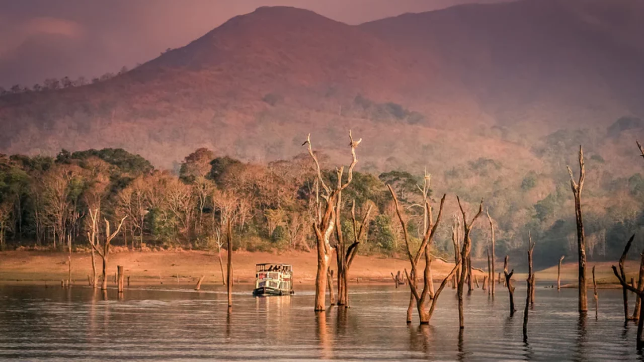 Stunning sunrise over Periyar Lake in Thekkady