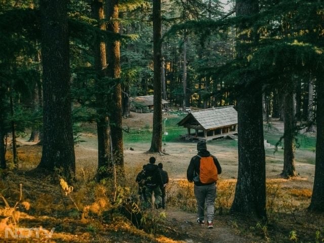 Jibhi in autumn with golden deodar trees and mountain views