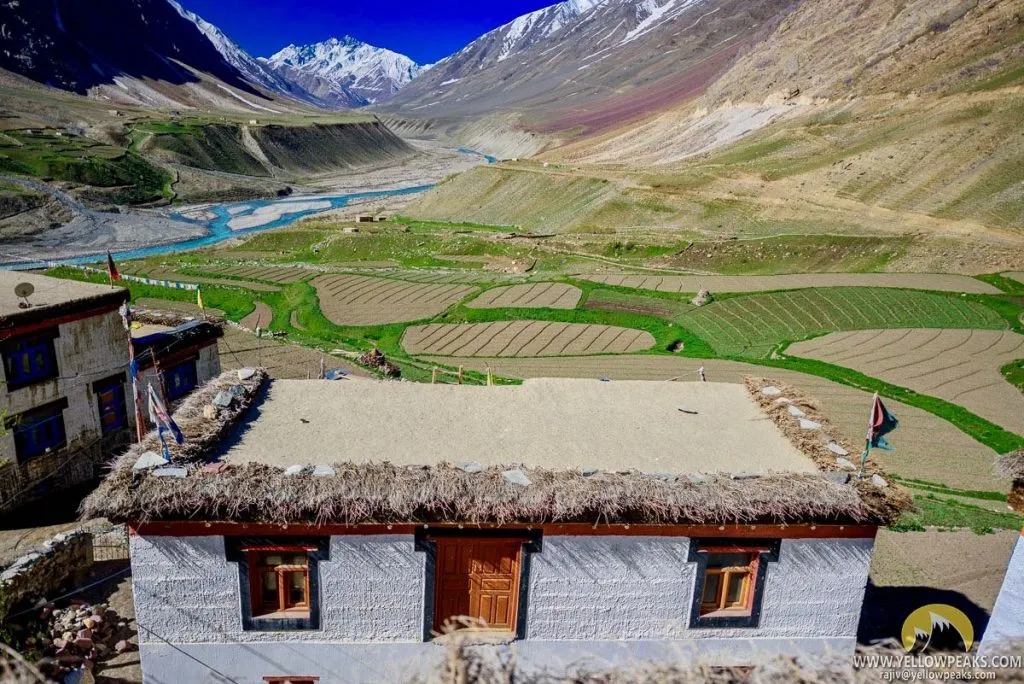 Mudh village homestay area in Pin Valley National Park