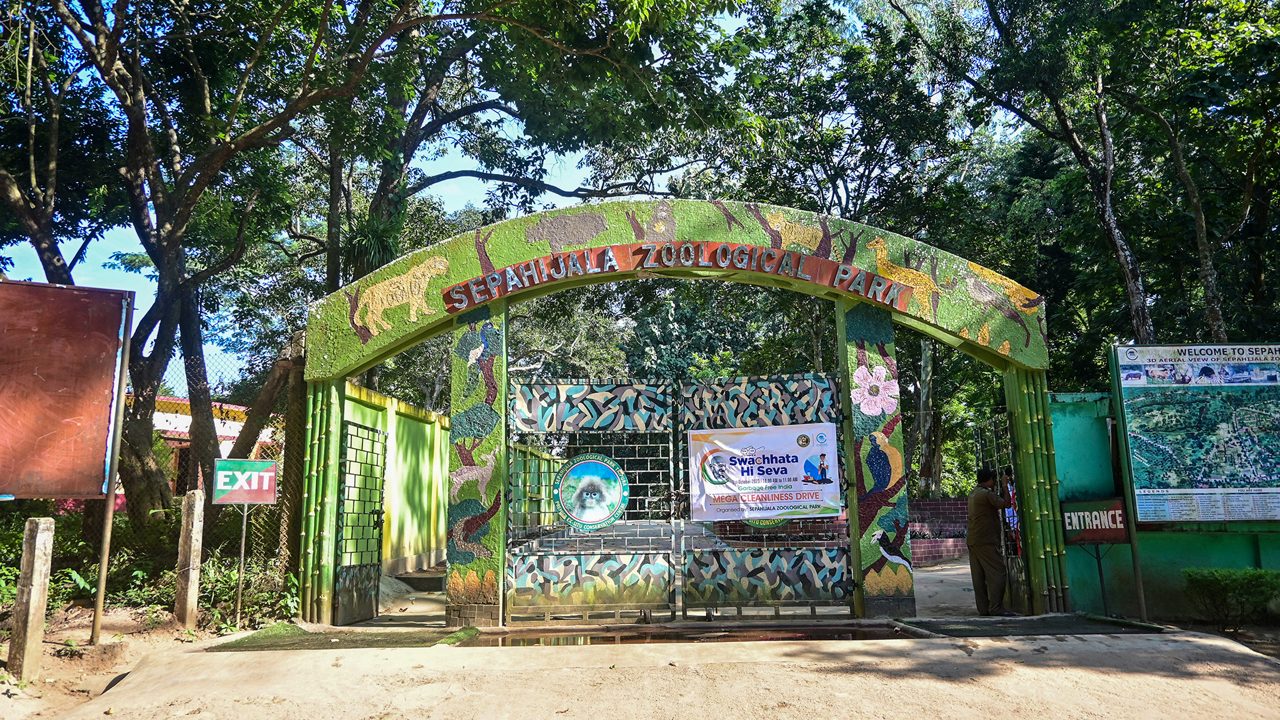 Wildlife at Sepahijala Wildlife Sanctuary in Tripura