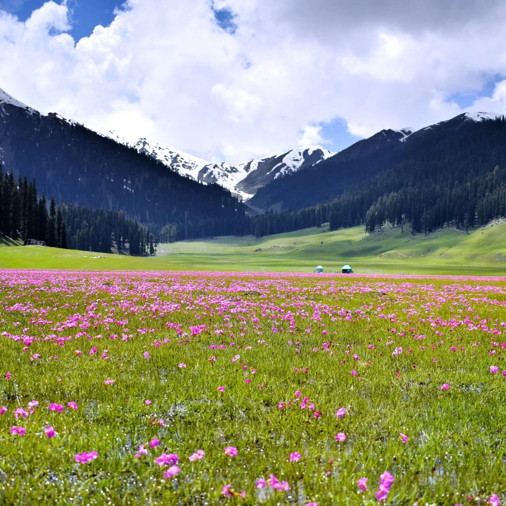 Wide meadows in Bangus Valley Kashmir