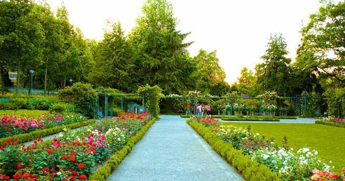 Visitors walking among flower beds at Rose Garden Chandigarh