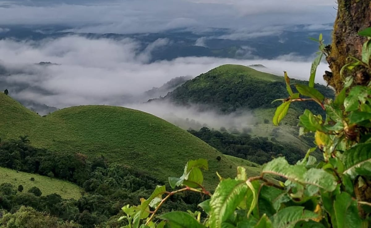 Misty hills of Coorg with green valleys