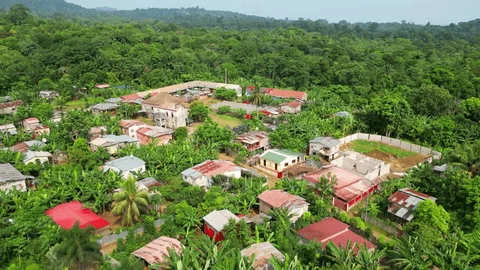 Traditional Goan village scene in Cuncolim with coconut palms
