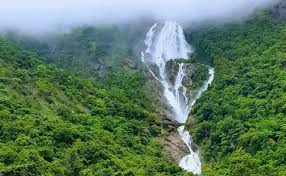 Dudhsagar waterfall in full monsoon flow in August