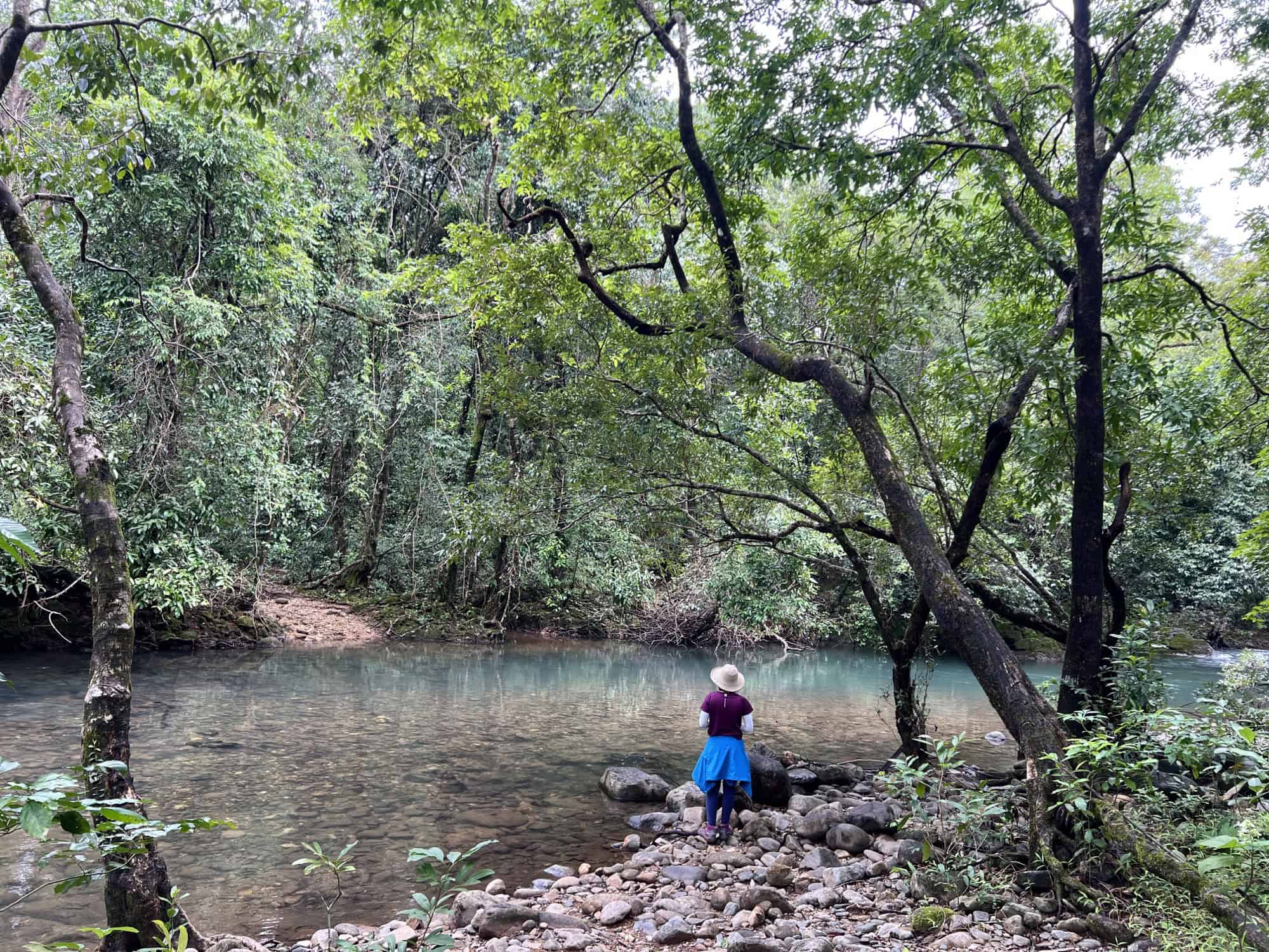 Lush green monsoon landscape in Goa during August