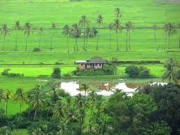 Goa lush monsoon landscape in July with cloudy sky
