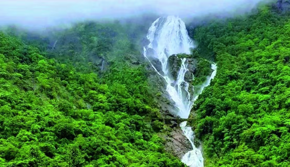 Green route toward Dudhsagar during Goa post-monsoon travel