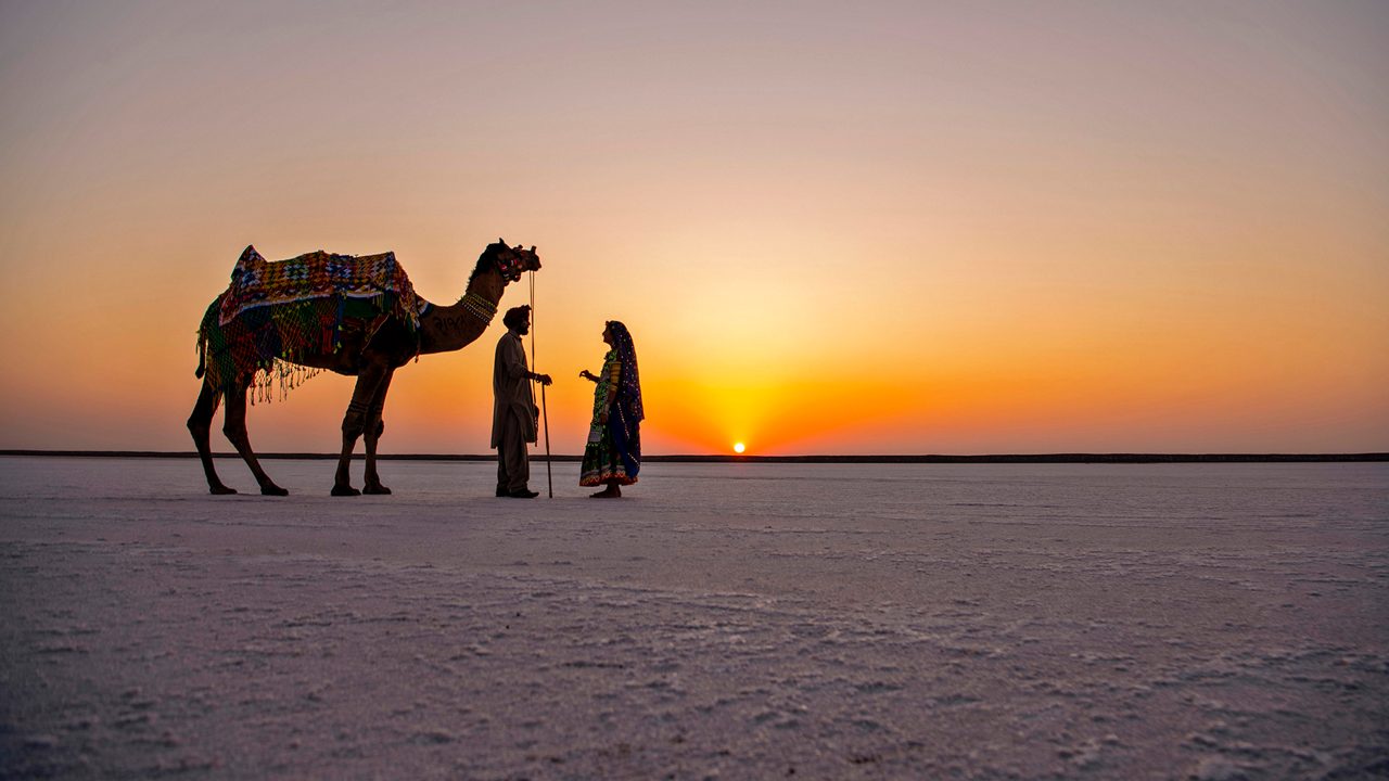 Rann of Kutch white desert - Salt marsh under full moon