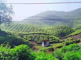 Guwahati itinerary and local travel tips