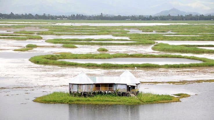 Keibul Lamjao floating national park landscape near Imphal