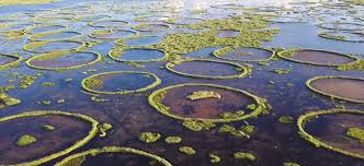 Loktak Lake with floating islands and Sendra viewpoint in Manipur