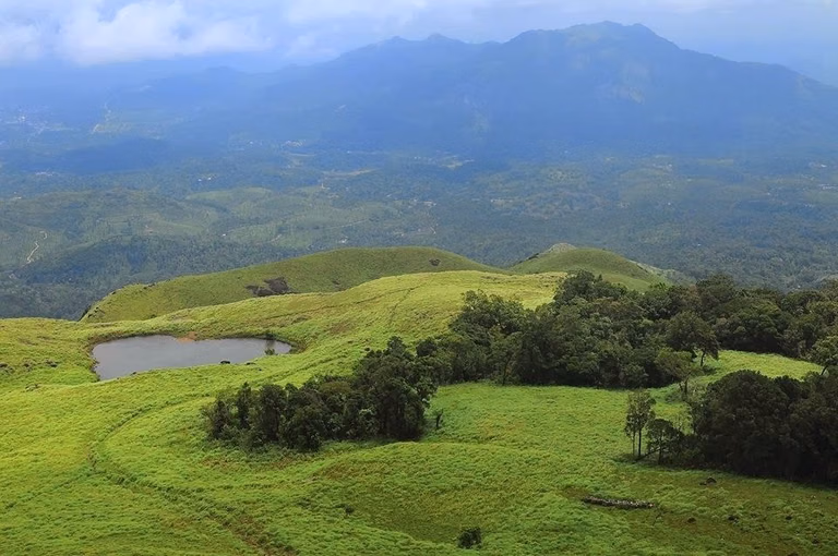 Chembra Peak Trek Wayanad