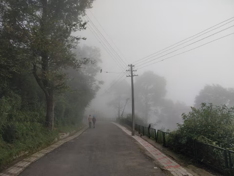 Morning view of Kasauli town with pine hills