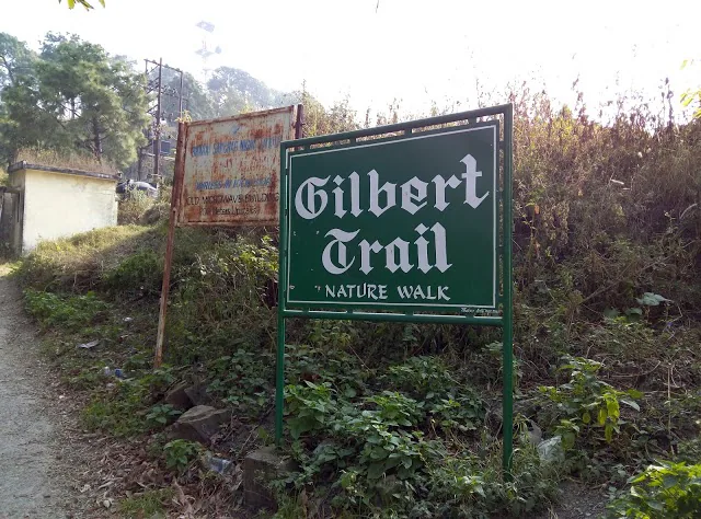 Narrow forest trail and hillside view along Gilbert Trail Kasauli