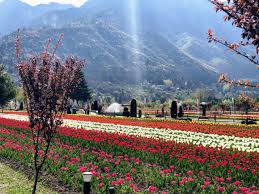 Gulmarg and Pahalgam spring landscapes in Kashmir in May