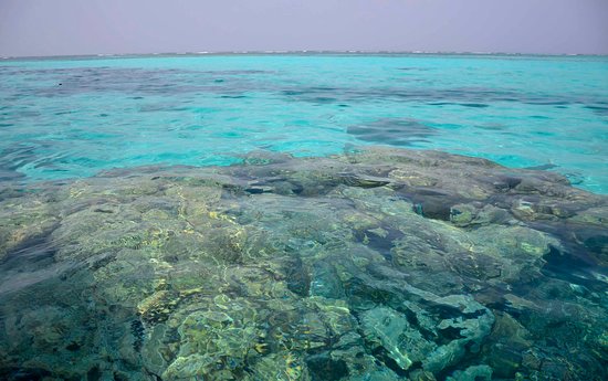Coral-view shoreline in Kavaratti lagoon