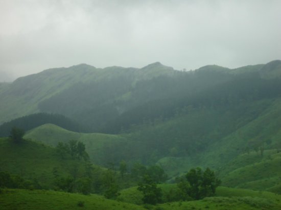 Vagamon meadows with monsoon mist in Kerala