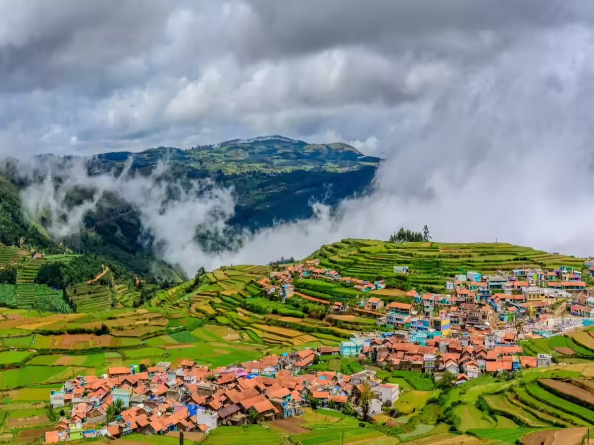 Kodaikanal misty lake and pine forest in monsoon
