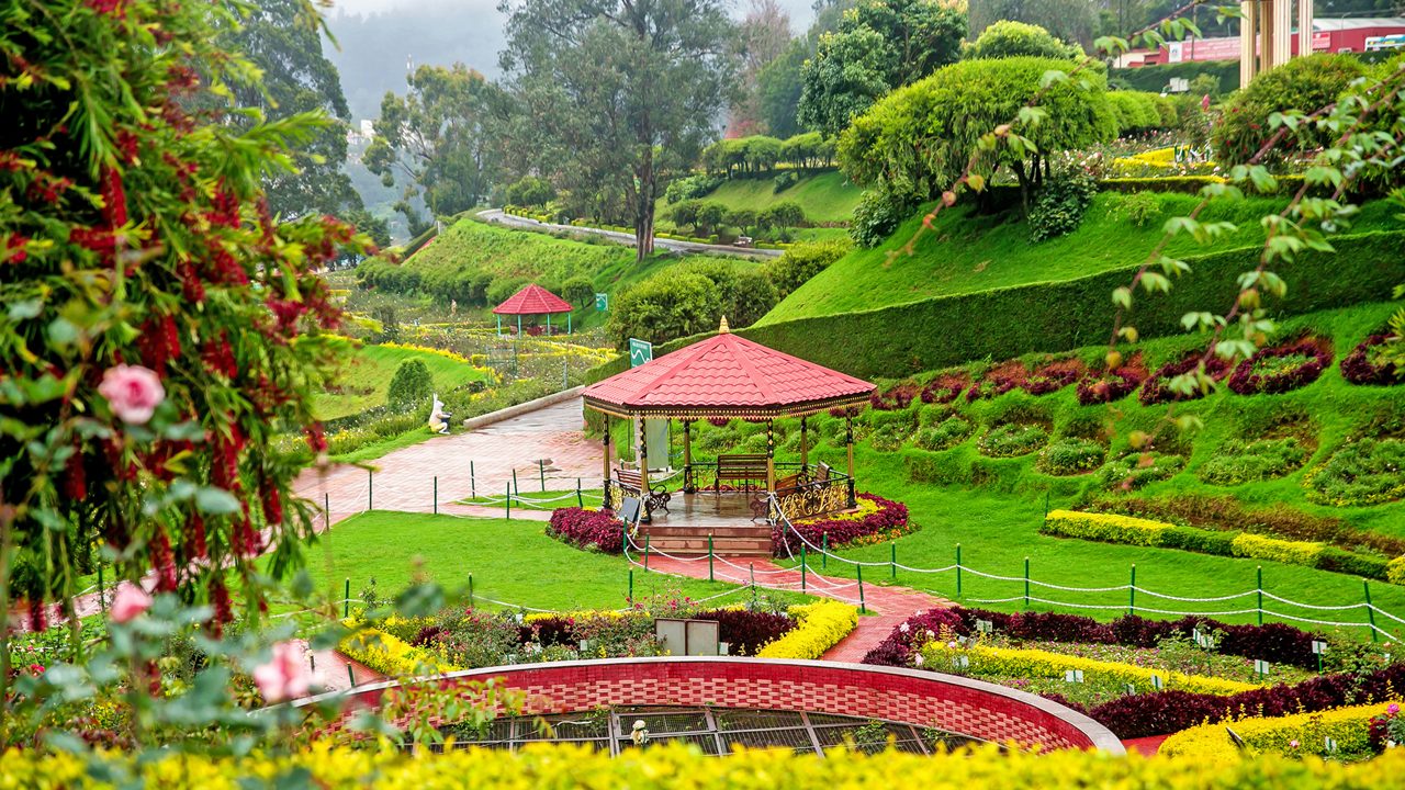 Ooty Botanical Garden with diverse plants and Nilgiri hills backdrop