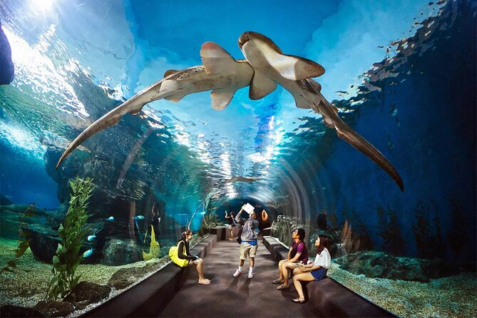 Bangkok Ocean World