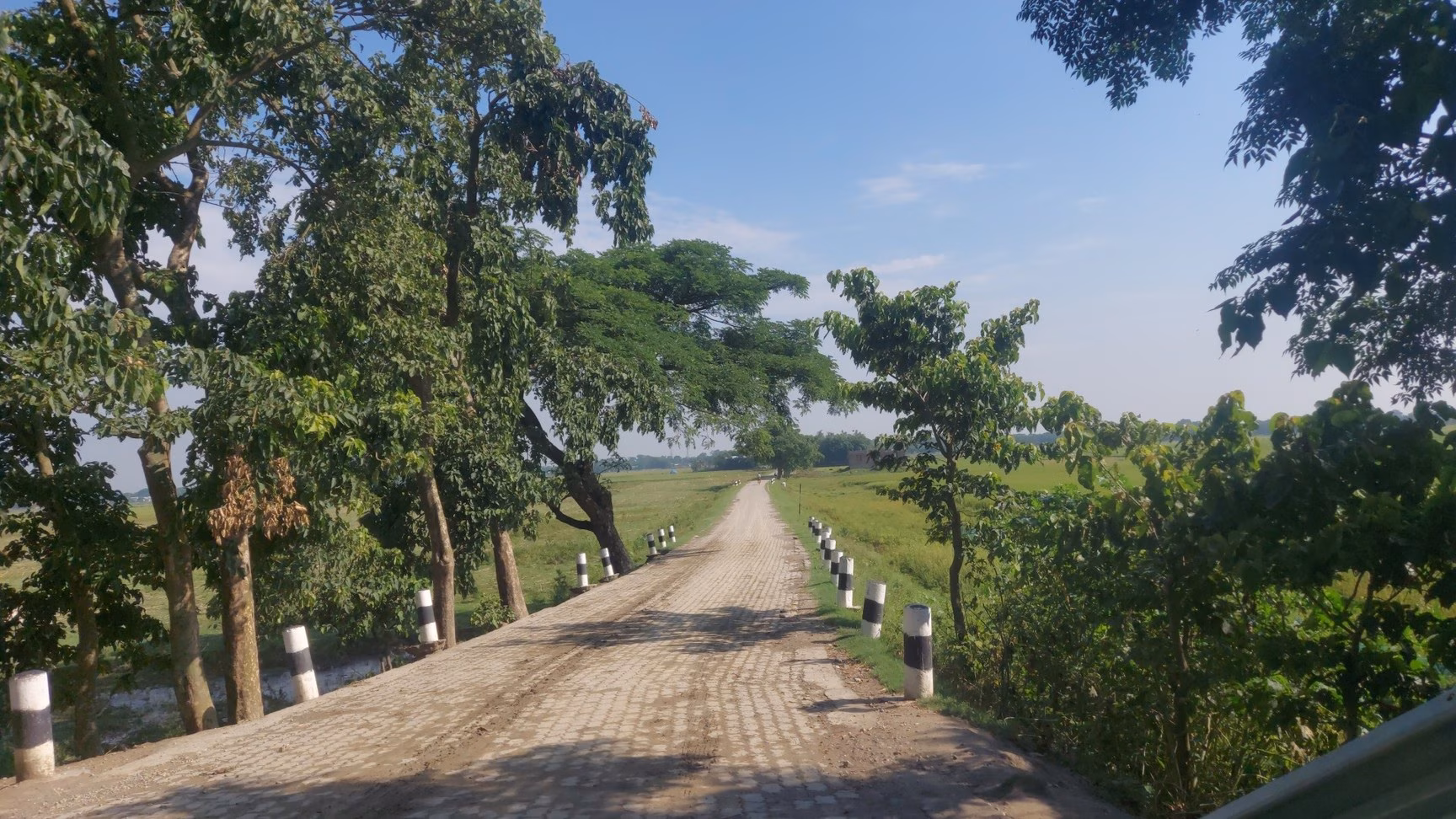 Forest edge walkway trail near Ulli