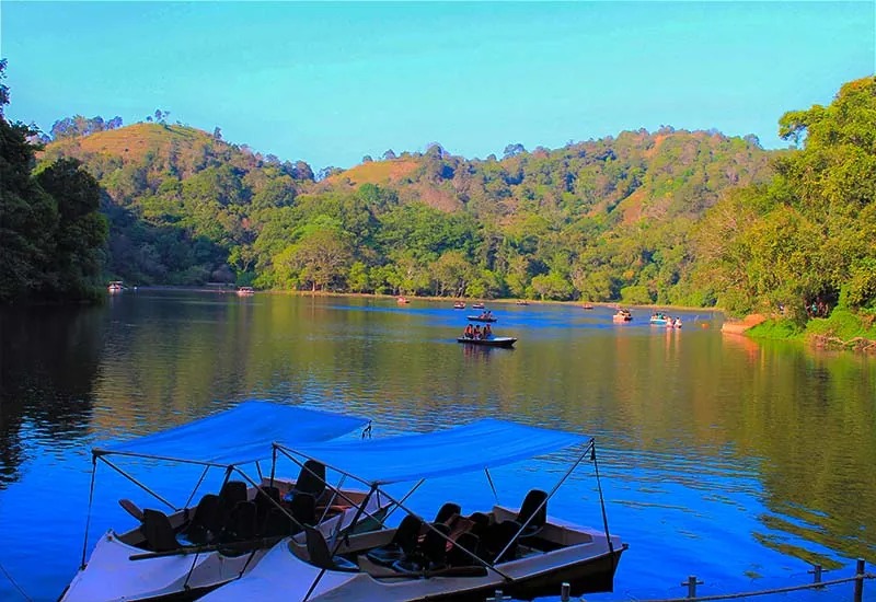 Evening atmosphere around Pookode Lake